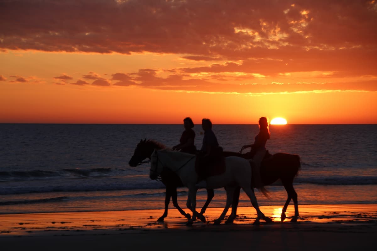 Paseos a Caballo